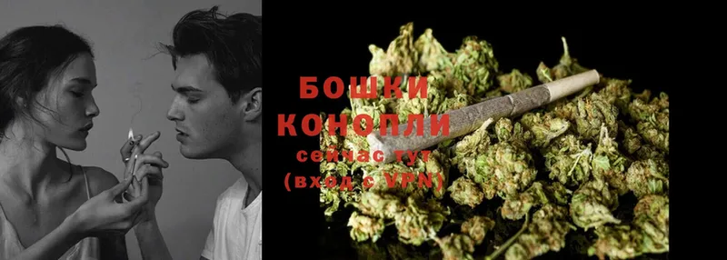 Марихуана SATIVA & INDICA  Кодинск 